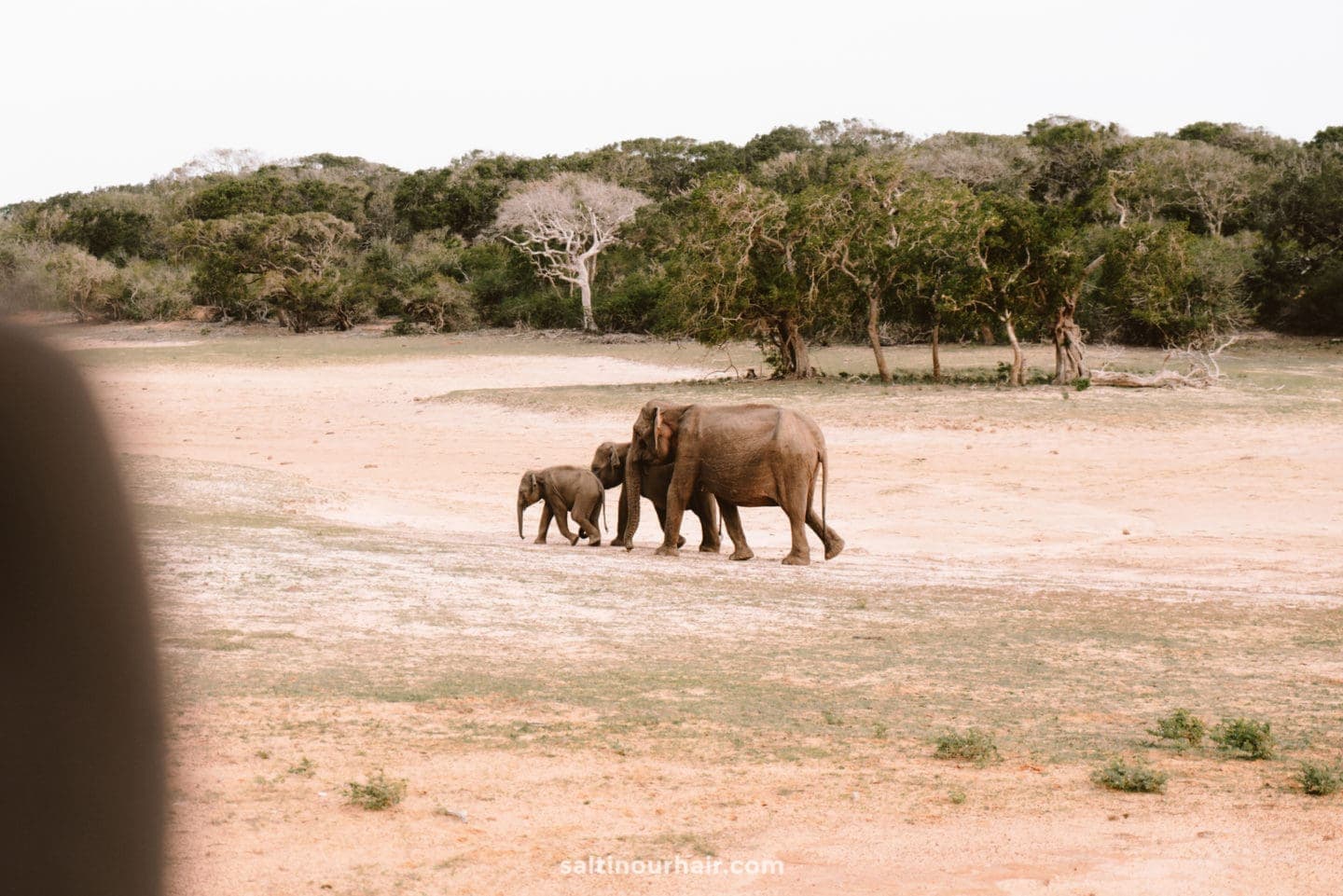 Yala National Park